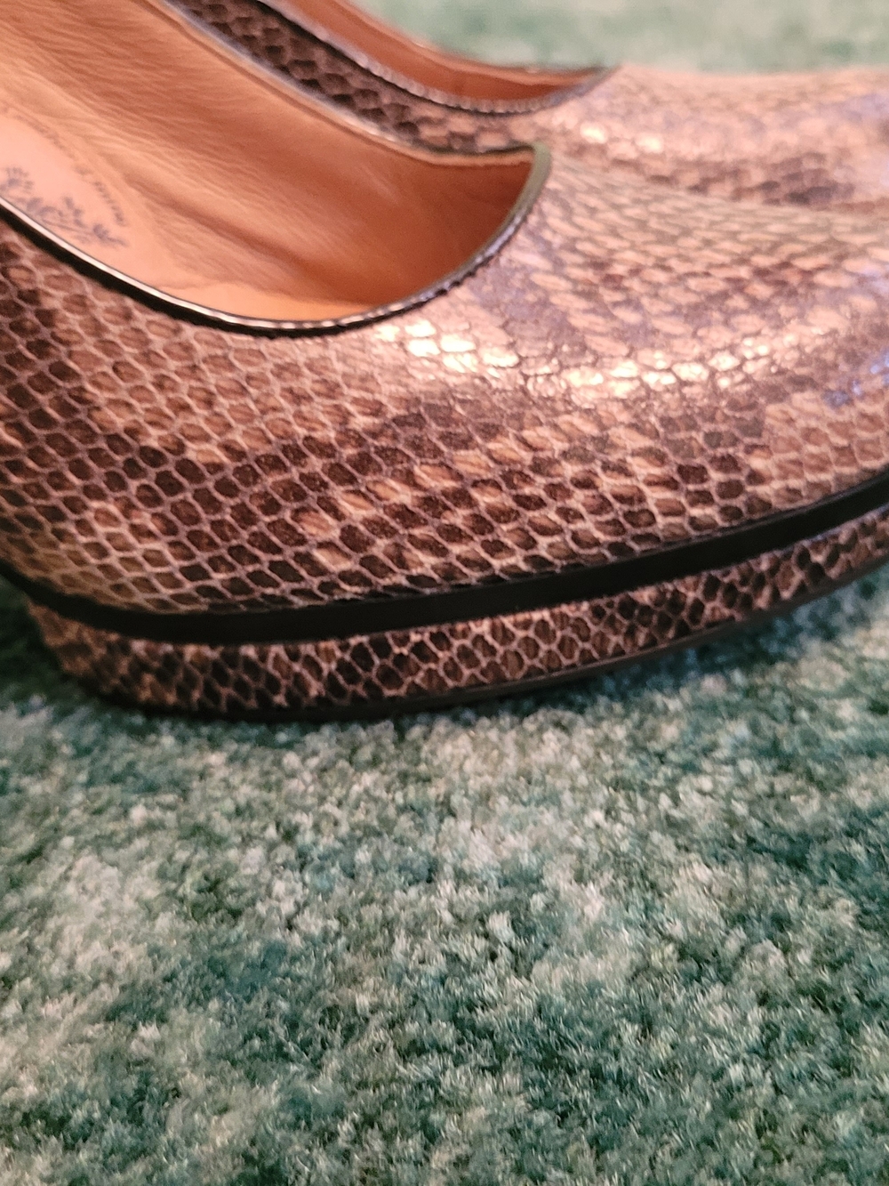 NWT Snake-Print Sofft Leather Pump - Picture 3 of 9